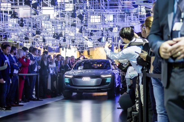 Audi Elaine