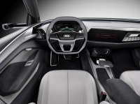 Audi Elaine