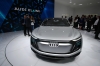 Audi Elaine
