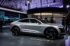 Audi Elaine