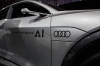 Audi Elaine