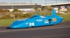 Bluebird 2011