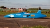 Bluebird 2011