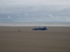 Bluebird 2011
