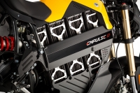 Brammo Empulse R 2014