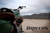 Brutus