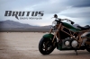 Brutus