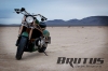 Brutus