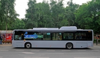 BYD K9 w Warszawie