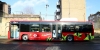 BYD K9