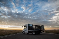 Boulder Electric Vehicle Flat Bed