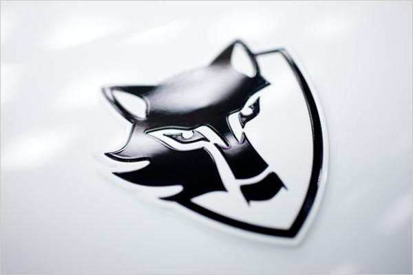 E-Wolf e1