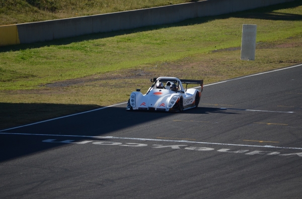 ELMOFO Electric Radical