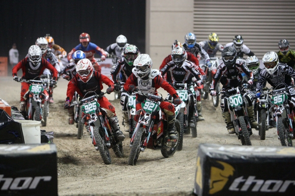 Energy Crisiscross (ECX) 2010