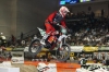 Energy Crisiscross (ECX) 2010