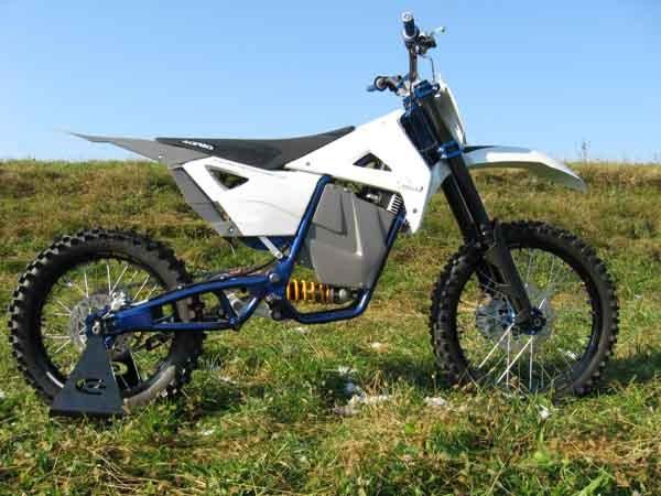 Evolt Bull1