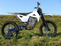 Evolt Bull1