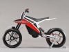 Husqvarna Concept E-go