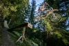 KTM Freeride E-XC 2015