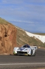 Monster Sport E-RUNNER Pikes Peak Special 2014