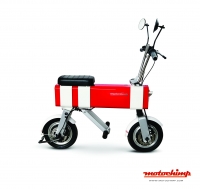 Motochimp