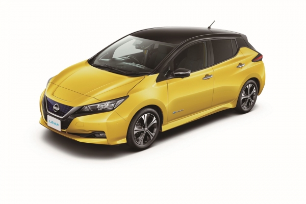 Nissan Leaf 2018