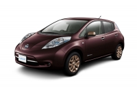 Nissan Leaf (Premium Deep Maroon)
