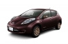 Nissan Leaf (Premium Deep Maroon)