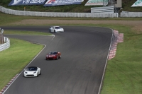 Nissan Leaf Nismo RC i Tesla Roadster
