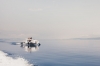 Quadrofoil