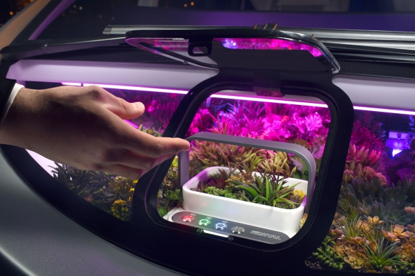 Rinspeed Oasis