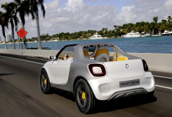smart for-us