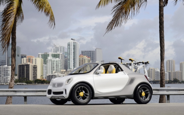 smart for-us