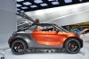 smart forstars