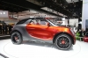 smart forstars