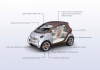 smart forvision