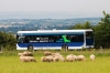 Solaris Urbino 12 electric