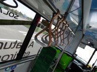 Solaris Urbino 8,9 LE electric
