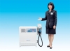 Szybka ładowarka CHAdeMO o mocy 10 kW firmy Nichicon Corporation