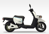 Terra Motors BIZMO II