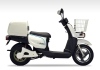 Terra Motors BIZMO II
