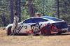 Tesla Model S P90D podczas PPIHC 2016