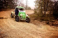 TGS Xtreme Buggy EV