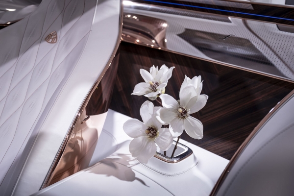 Vision Mercedes-Maybach Ultimate Luxury