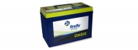 Firefly Energy bankrutuje
