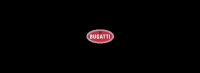 Bugatti pracuje nad samochodem elektrycznym?