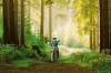 Yamaha PED2